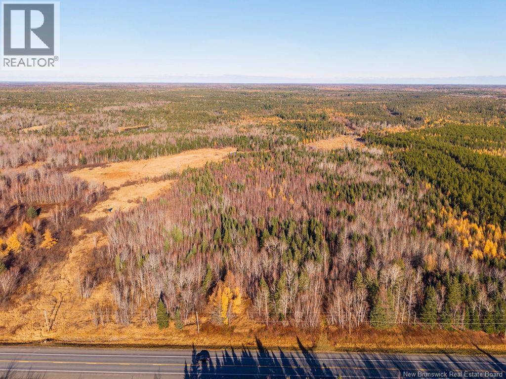 Lot- 110.9 Acres Route 11 Route, Saint Margarets, New Brunswick  E1N 5C4 - Photo 1 - NB125536