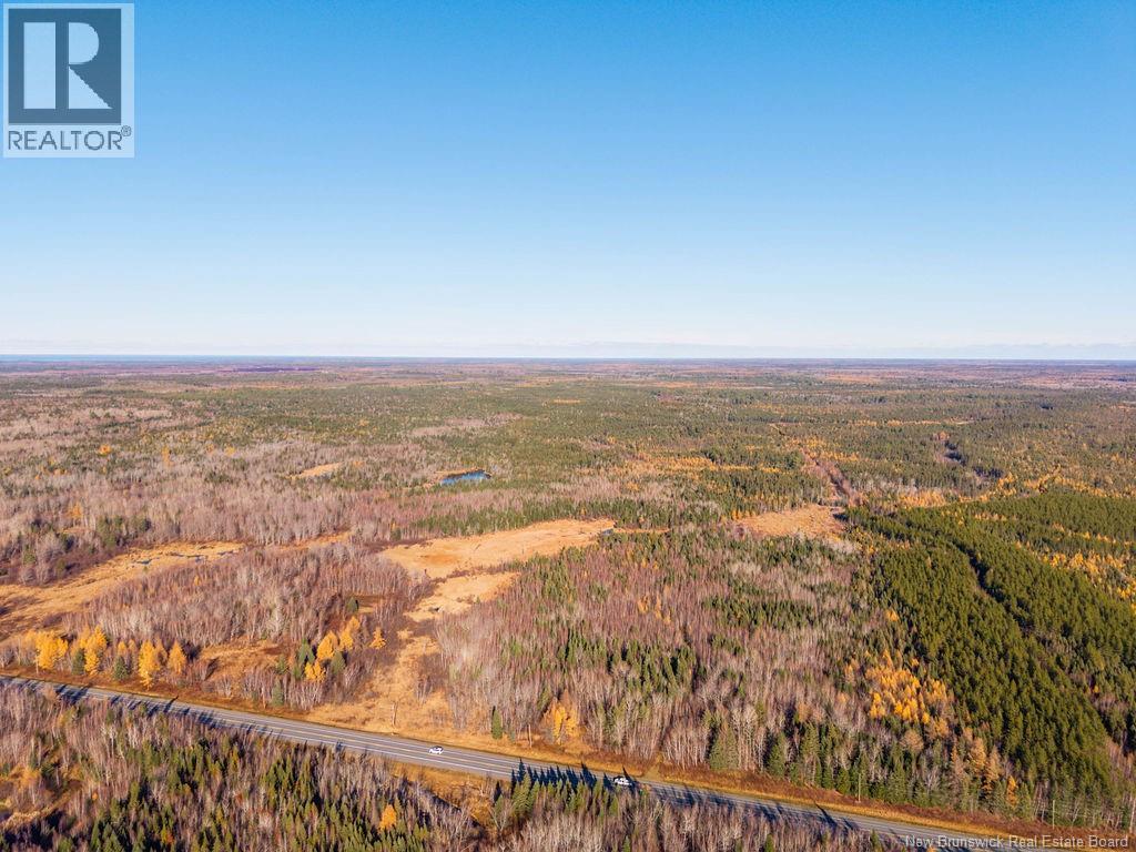 Lot- 110.9 Acres Route 11 Route, Saint Margarets, New Brunswick  E1N 5C4 - Photo 11 - NB125536