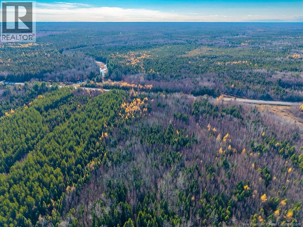 Lot- 110.9 Acres Route 11 Route, Saint Margarets, New Brunswick  E1N 5C4 - Photo 8 - NB125536
