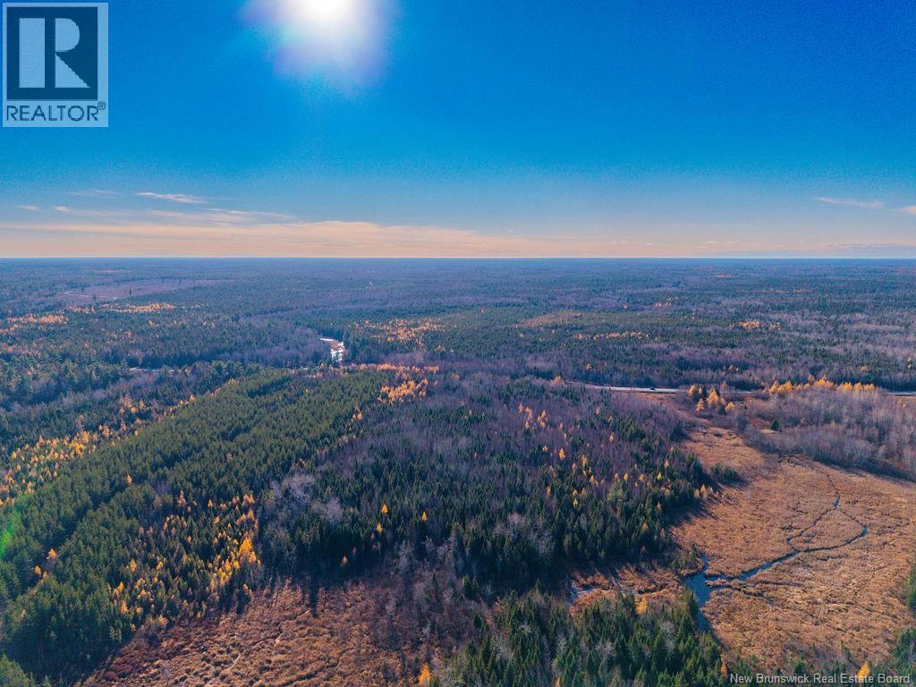 Lot- 110.9 Acres Route 11 Route, Saint Margarets, New Brunswick  E1N 5C4 - Photo 9 - NB125536