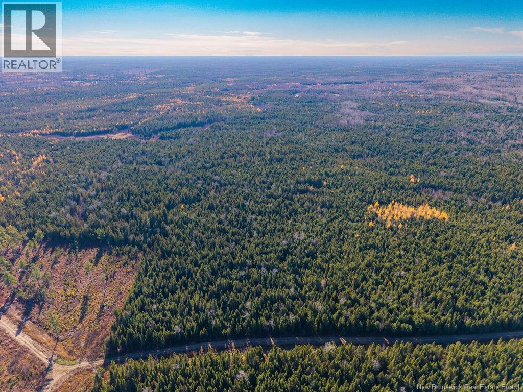 Lot- 110.9 Acres Route 11 Route, Saint Margarets, New Brunswick  E1N 5C4 - Photo 14 - NB125536