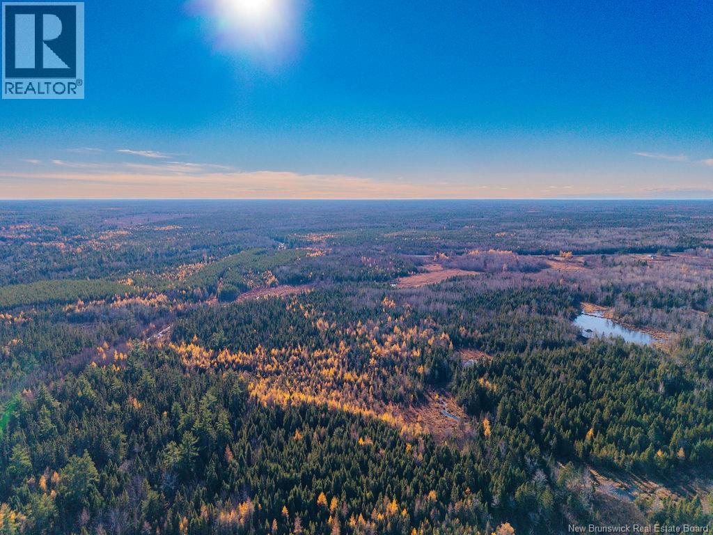 Lot- 110.9 Acres Route 11 Route, Saint Margarets, New Brunswick  E1N 5C4 - Photo 10 - NB125536