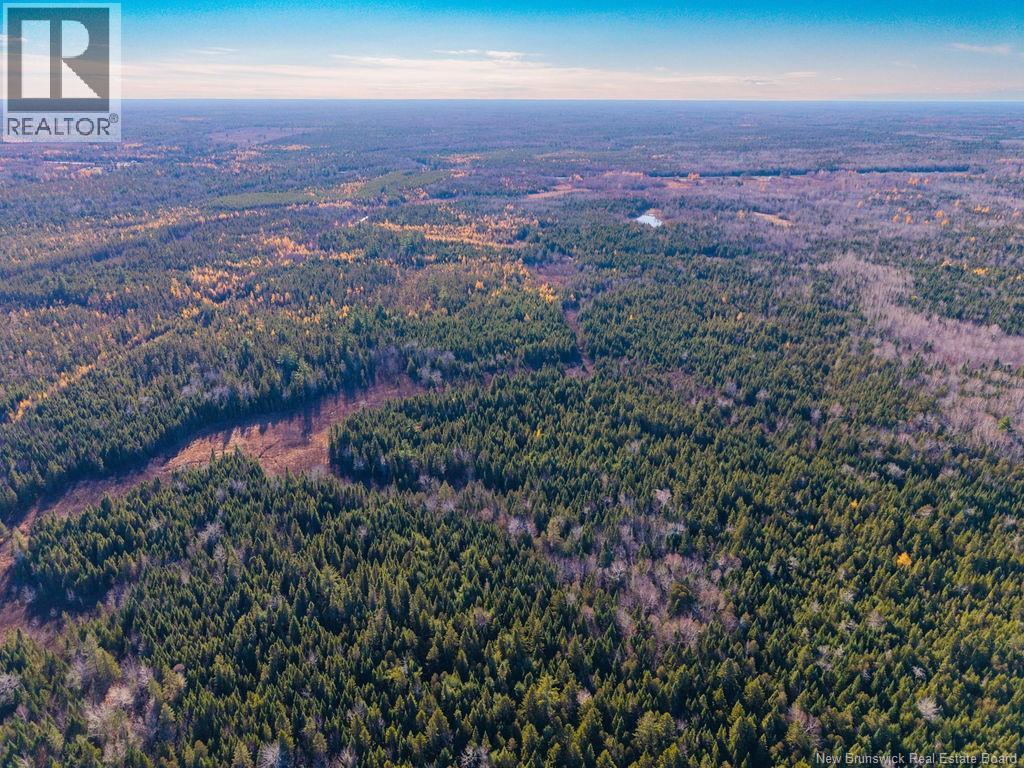 Lot- 110.9 Acres Route 11 Route, Saint Margarets, New Brunswick  E1N 5C4 - Photo 13 - NB125536
