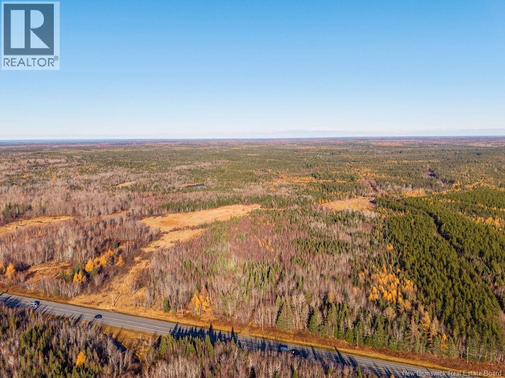 Lot- 110.9 Acres Route 11 Route, Saint Margarets, New Brunswick  E1N 5C4 - Photo 6 - NB125536