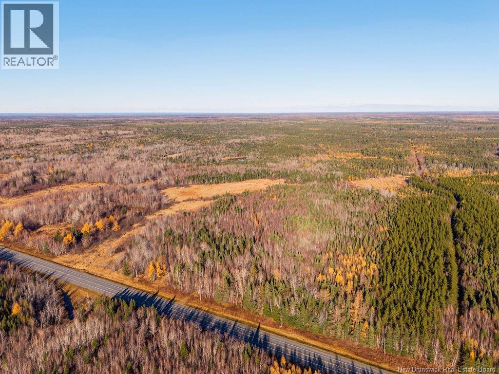 Lot- 110.9 Acres Route 11 Route, Saint Margarets, New Brunswick  E1N 5C4 - Photo 7 - NB125536