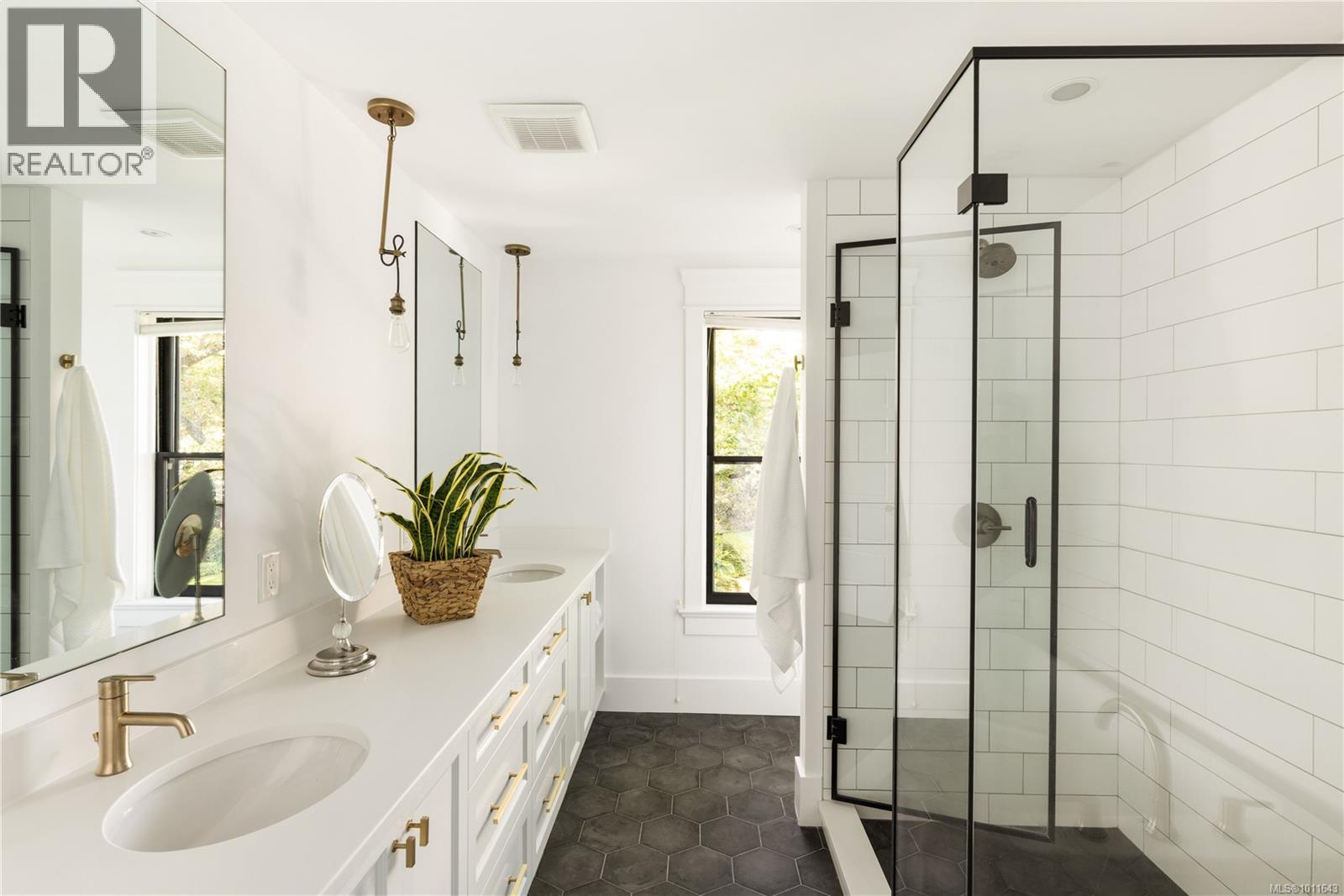 222 Dallas Rd, Victoria, British Columbia  V8V 1A5 - Photo 27 - 1011643