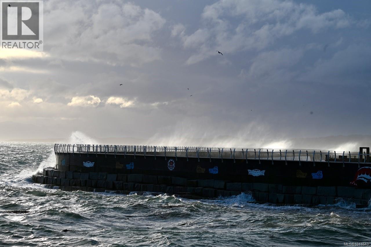 222 Dallas Rd, Victoria, British Columbia  V8V 1A5 - Photo 46 - 1011643