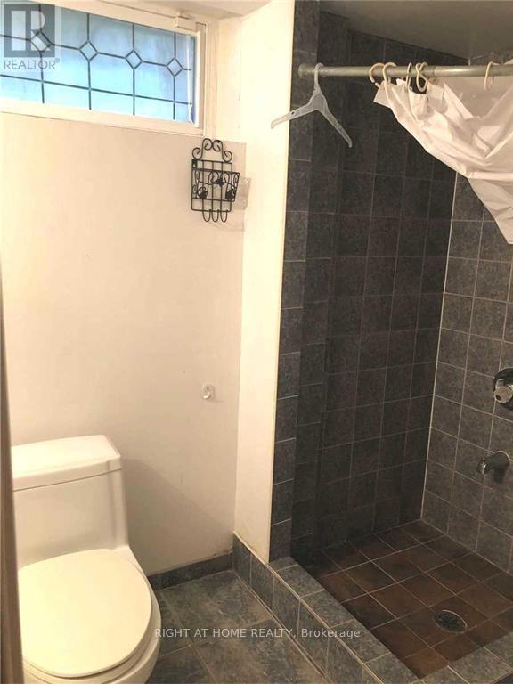 Bsmt Room - 1 Rialto Drive, Toronto, Ontario M3A 2N7 - Photo 8 - C12348219