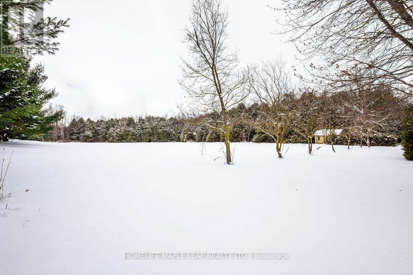 253048 9th Line, Amaranth, Ontario  L9W 0G9 - Photo 42 - X12539496