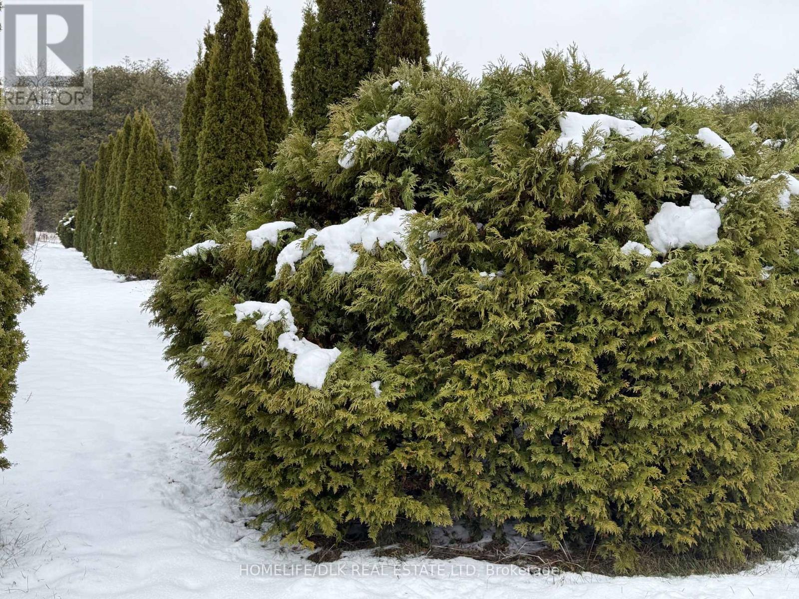 2075 County Road 43 Road, North Grenville, Ontario  K0G 1J0 - Photo 16 - X12539544