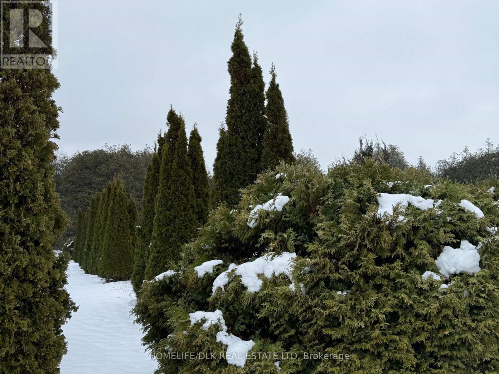 2075 County Road 43 Road, North Grenville, Ontario  K0G 1J0 - Photo 19 - X12539544