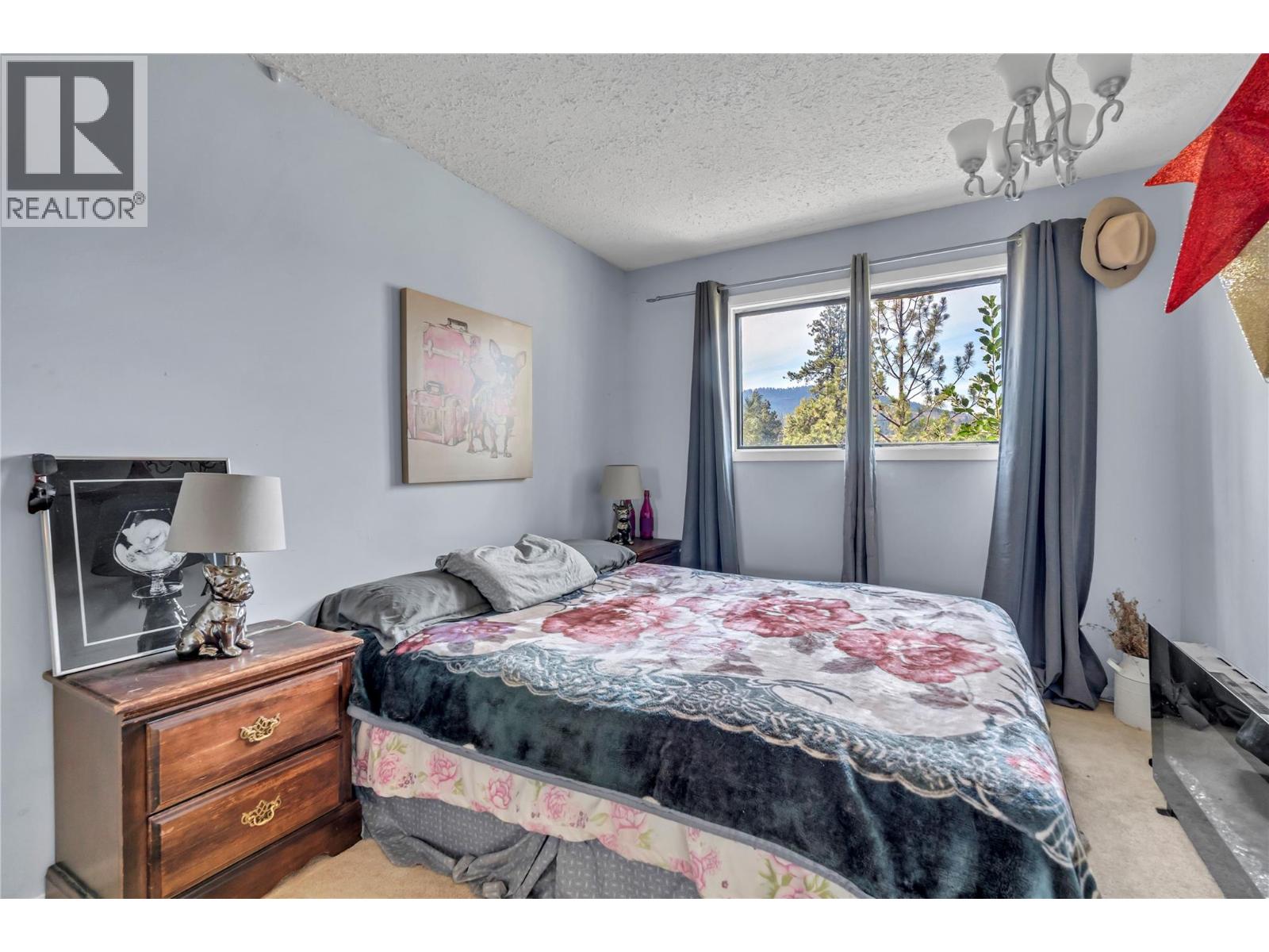 357 Old Hedley Road, Princeton, British Columbia  V0X 1W0 - Photo 35 - 10357154