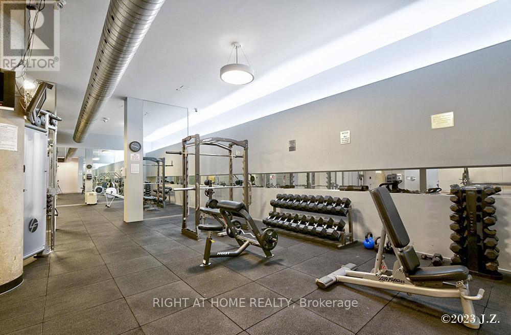 217 - 637 Lake Shore Boulevard W, Toronto, Ontario  M5V 1A8 - Photo 20 - C12435701