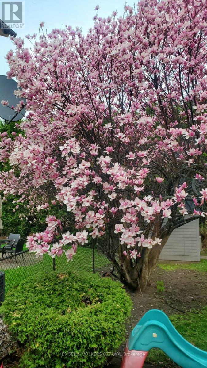 60 Homestead Street, Ottawa, Ontario  K2E 7N6 - Photo 24 - X12539622