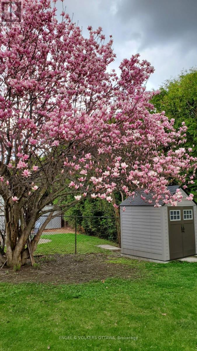 60 Homestead Street, Ottawa, Ontario  K2E 7N6 - Photo 25 - X12539622