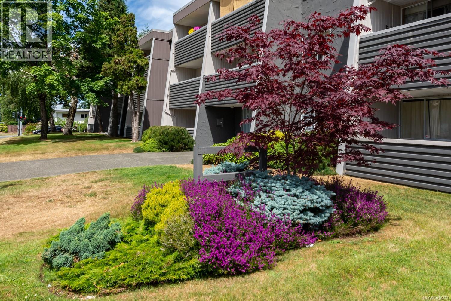 311 377 Dogwood St S, Campbell River, British Columbia