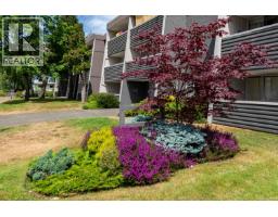 311 377 Dogwood St S Monteray