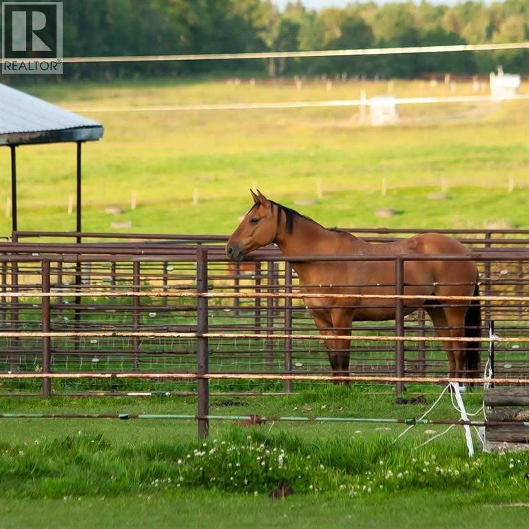 5559 Township Road 320, Rural Mountain View County, Alberta  T0M 1X0 - Photo 12 - A2264032