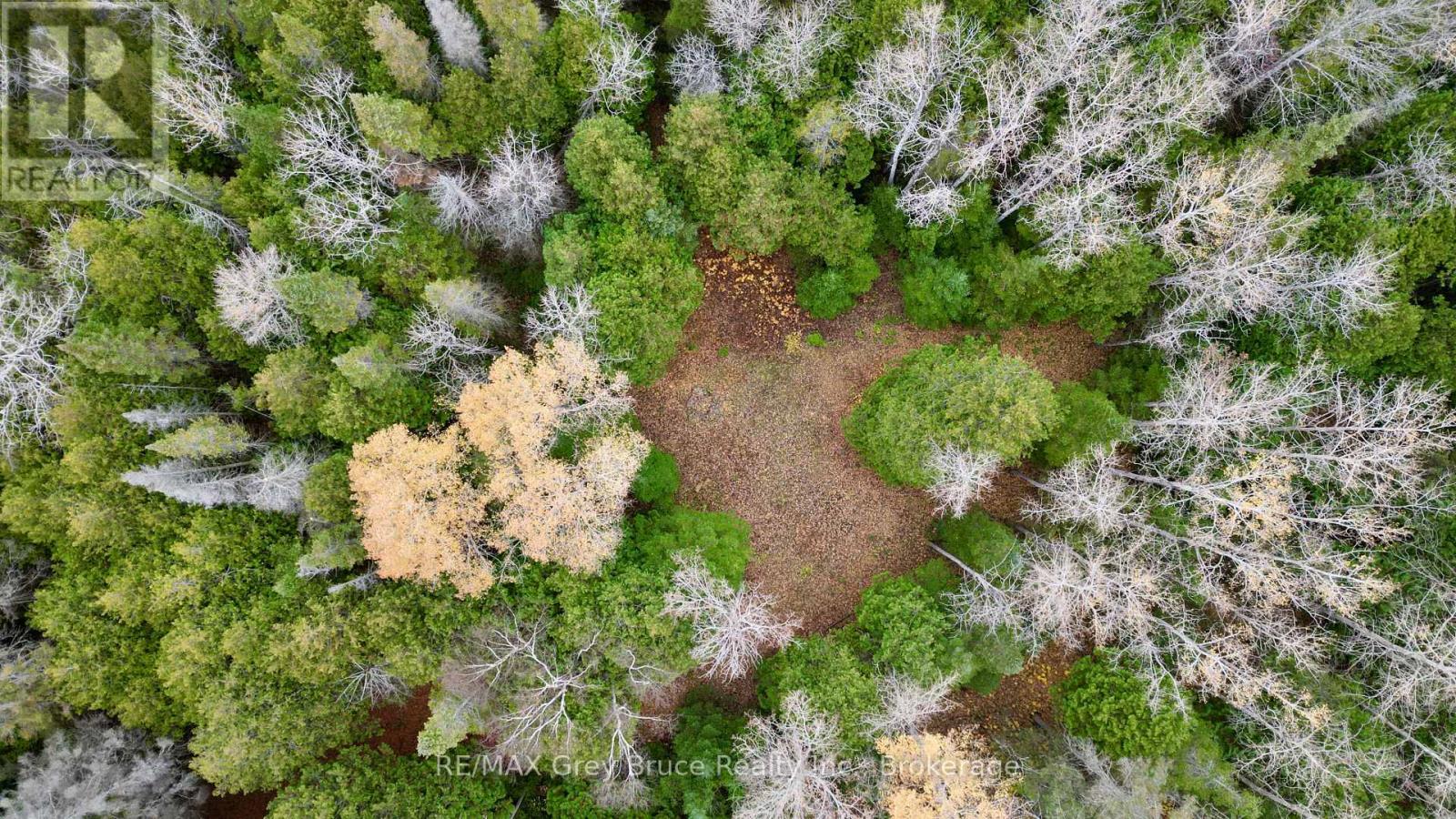 44 Stokes Bay Road, Northern Bruce Peninsula, Ontario  N0H 1W0 - Photo 10 - X12539744