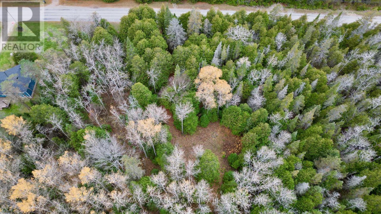 44 Stokes Bay Road, Northern Bruce Peninsula, Ontario  N0H 1W0 - Photo 11 - X12539744