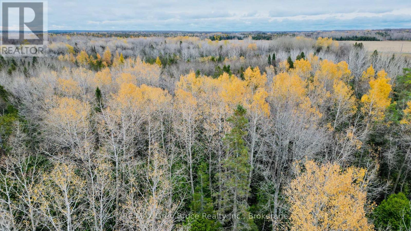 44 Stokes Bay Road, Northern Bruce Peninsula, Ontario  N0H 1W0 - Photo 12 - X12539744