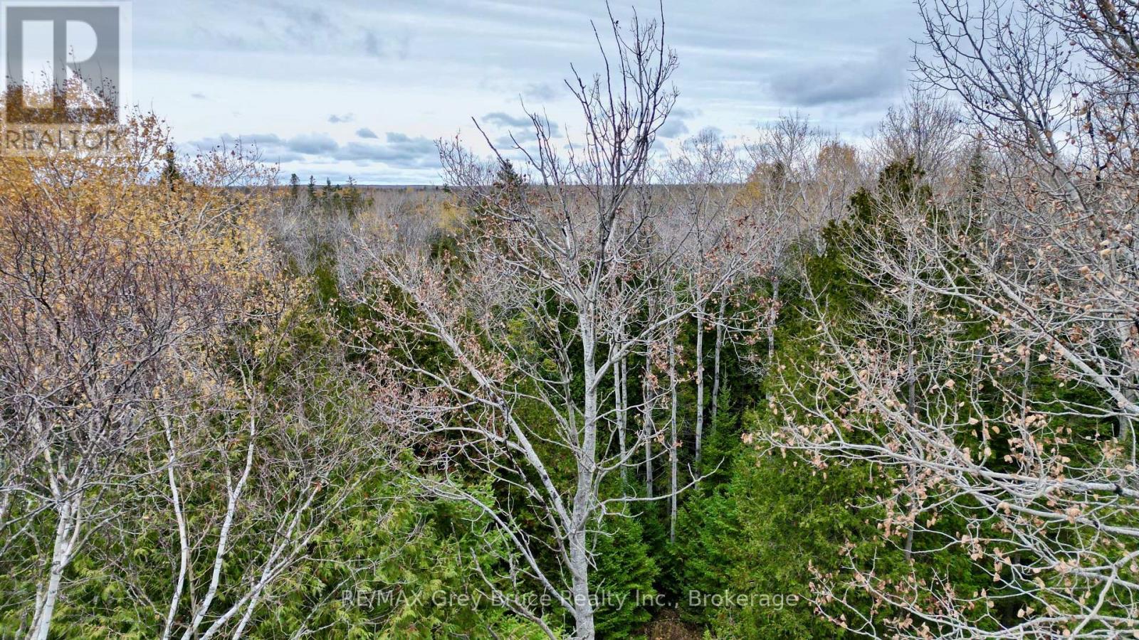 44 Stokes Bay Road, Northern Bruce Peninsula, Ontario  N0H 1W0 - Photo 14 - X12539744