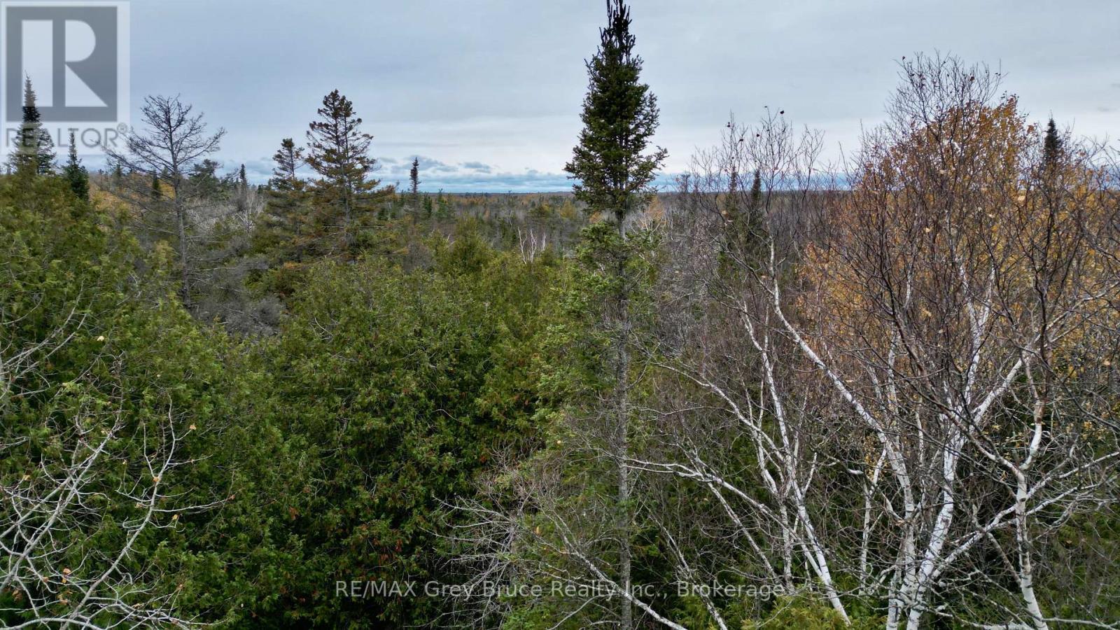 44 Stokes Bay Road, Northern Bruce Peninsula, Ontario  N0H 1W0 - Photo 15 - X12539744