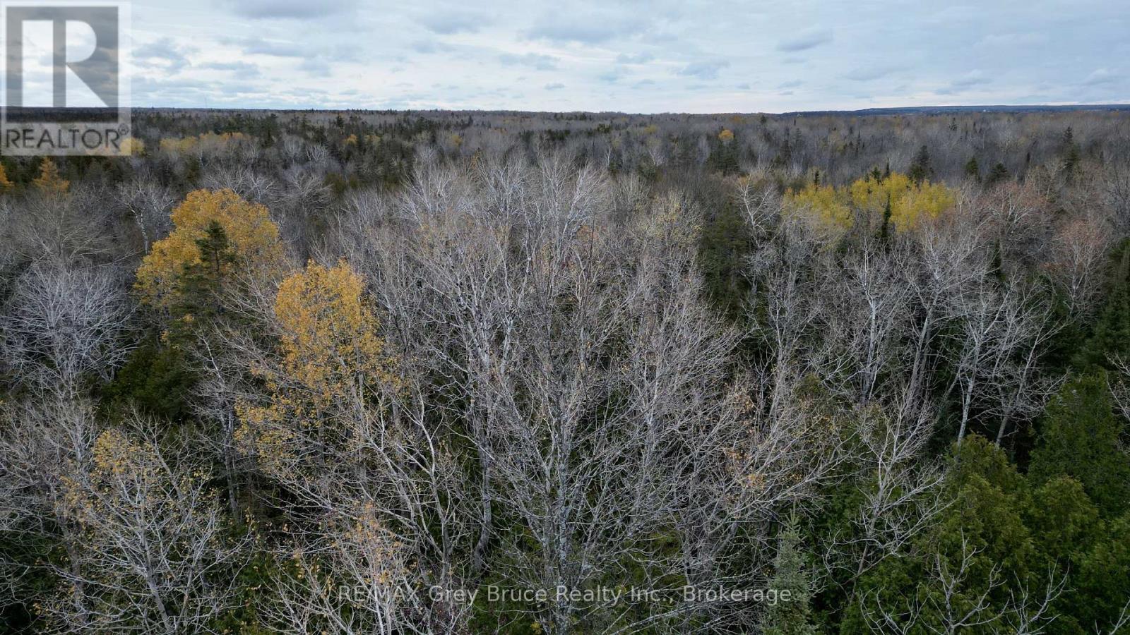 44 Stokes Bay Road, Northern Bruce Peninsula, Ontario  N0H 1W0 - Photo 17 - X12539744