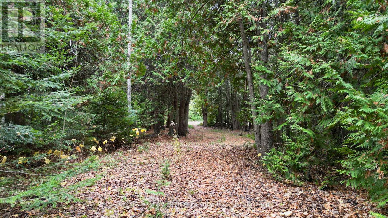 44 Stokes Bay Road, Northern Bruce Peninsula, Ontario  N0H 1W0 - Photo 19 - X12539744