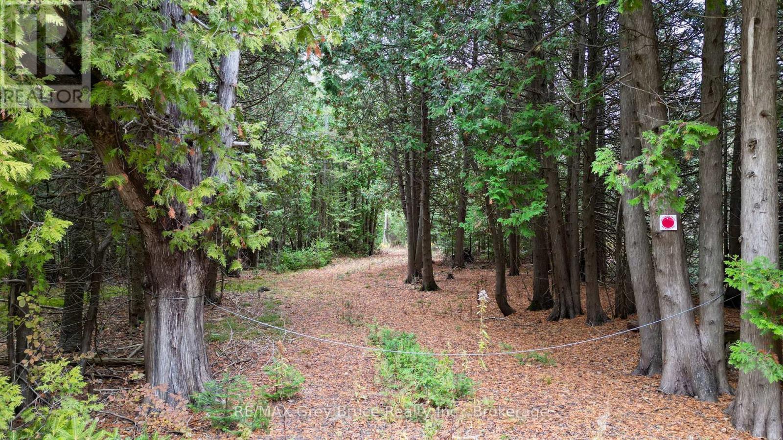 44 Stokes Bay Road, Northern Bruce Peninsula, Ontario  N0H 1W0 - Photo 2 - X12539744