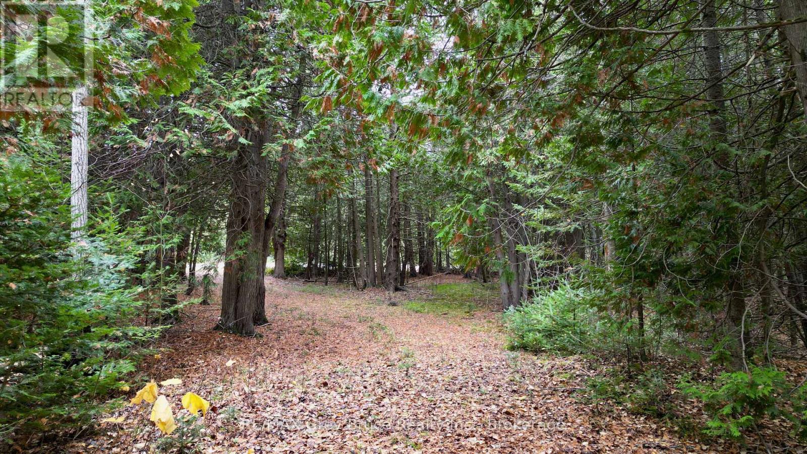 44 Stokes Bay Road, Northern Bruce Peninsula, Ontario  N0H 1W0 - Photo 20 - X12539744