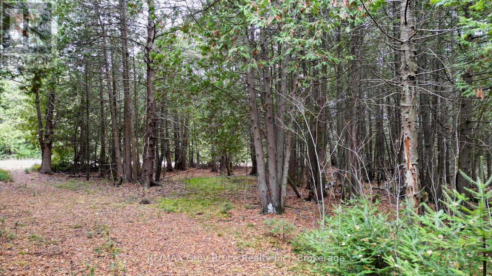 44 Stokes Bay Road, Northern Bruce Peninsula, Ontario  N0H 1W0 - Photo 21 - X12539744