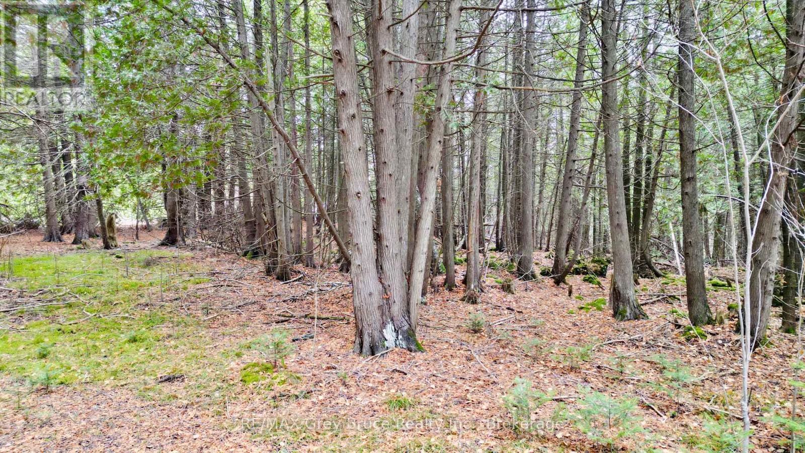 44 Stokes Bay Road, Northern Bruce Peninsula, Ontario  N0H 1W0 - Photo 22 - X12539744