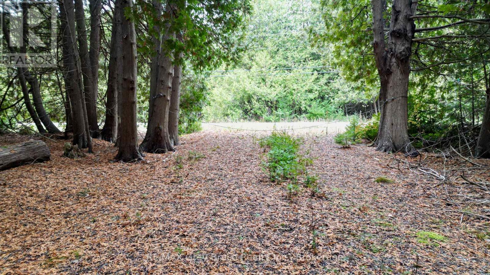 44 Stokes Bay Road, Northern Bruce Peninsula, Ontario  N0H 1W0 - Photo 24 - X12539744