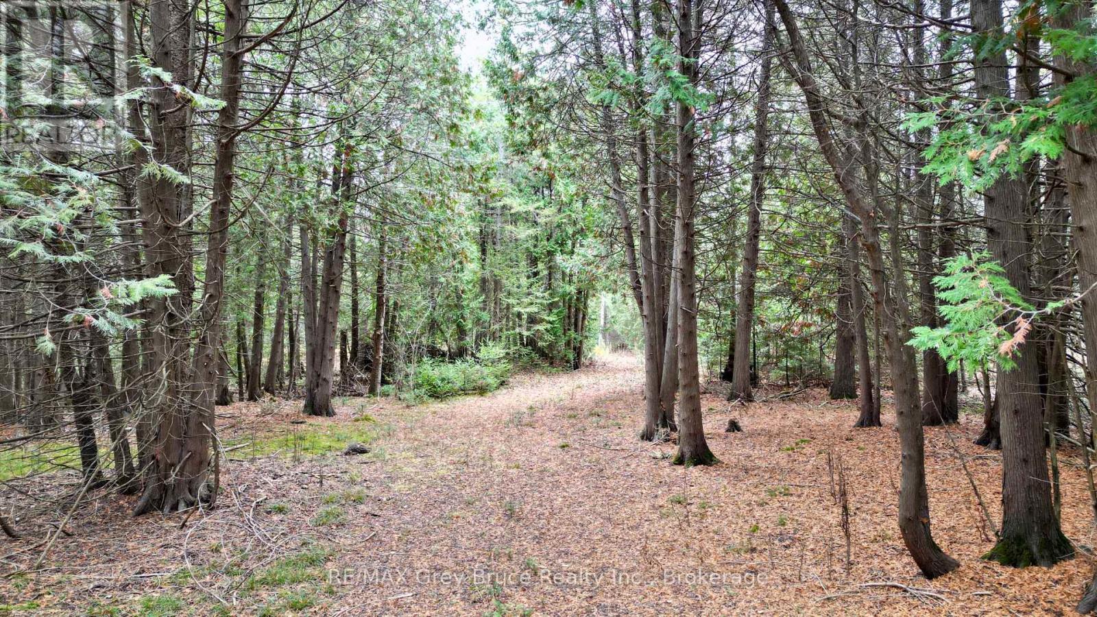 44 Stokes Bay Road, Northern Bruce Peninsula, Ontario  N0H 1W0 - Photo 3 - X12539744