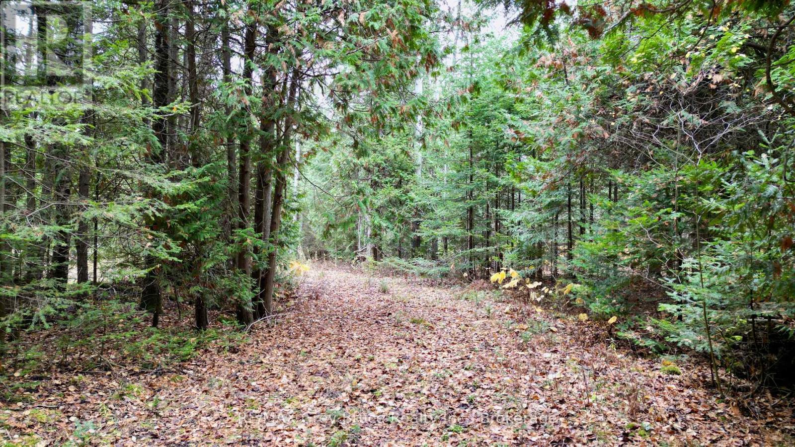 44 Stokes Bay Road, Northern Bruce Peninsula, Ontario  N0H 1W0 - Photo 4 - X12539744