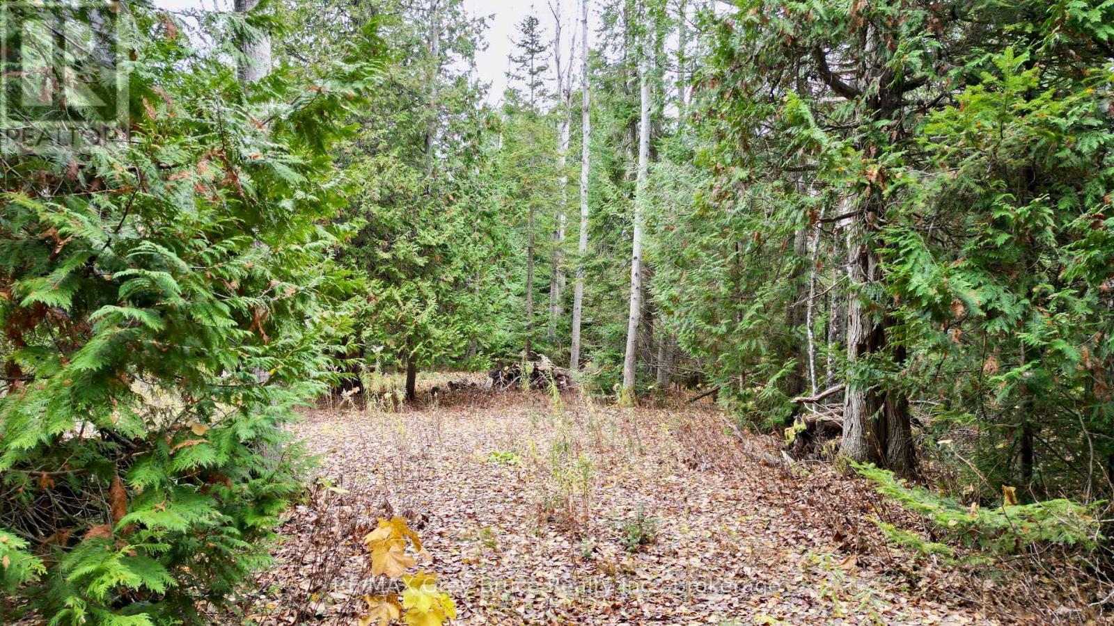 44 Stokes Bay Road, Northern Bruce Peninsula, Ontario  N0H 1W0 - Photo 5 - X12539744