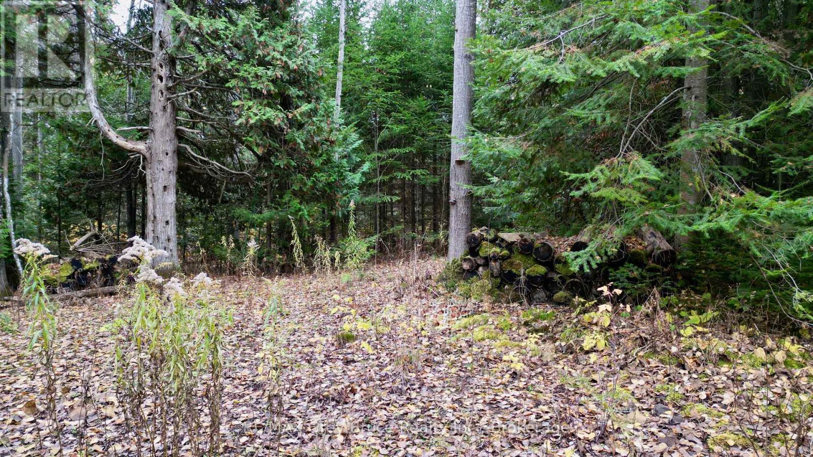 44 Stokes Bay Road, Northern Bruce Peninsula, Ontario  N0H 1W0 - Photo 6 - X12539744