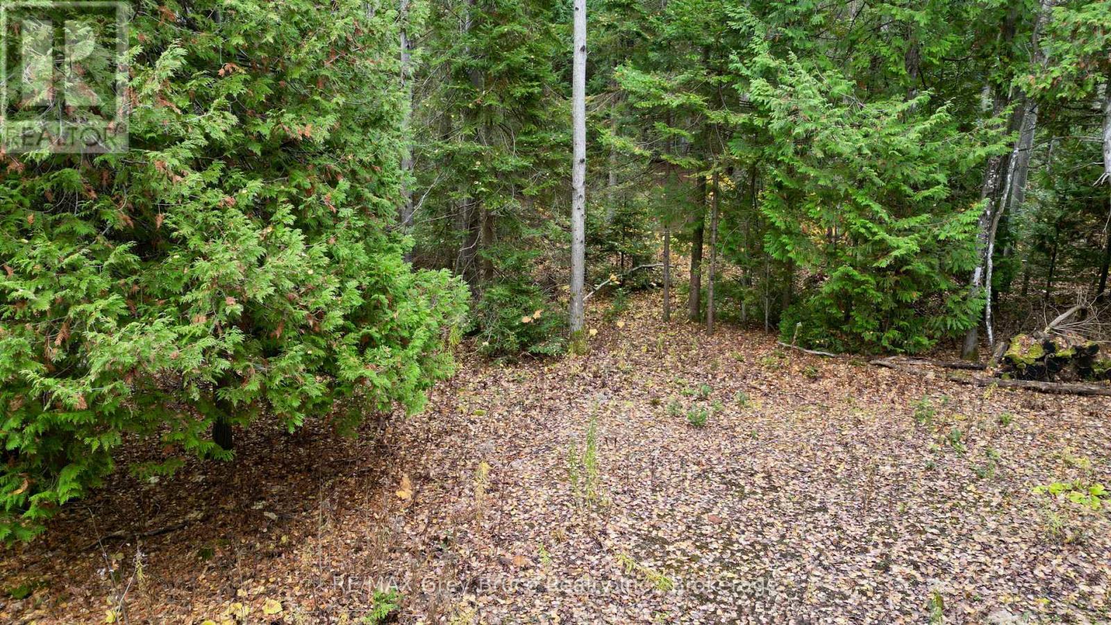 44 Stokes Bay Road, Northern Bruce Peninsula, Ontario  N0H 1W0 - Photo 8 - X12539744