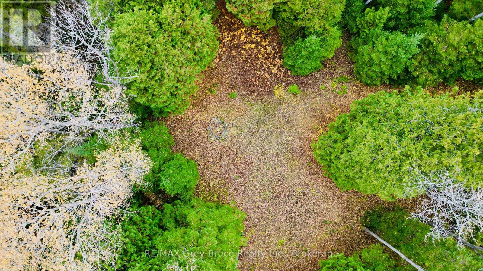44 Stokes Bay Road, Northern Bruce Peninsula, Ontario  N0H 1W0 - Photo 9 - X12539744