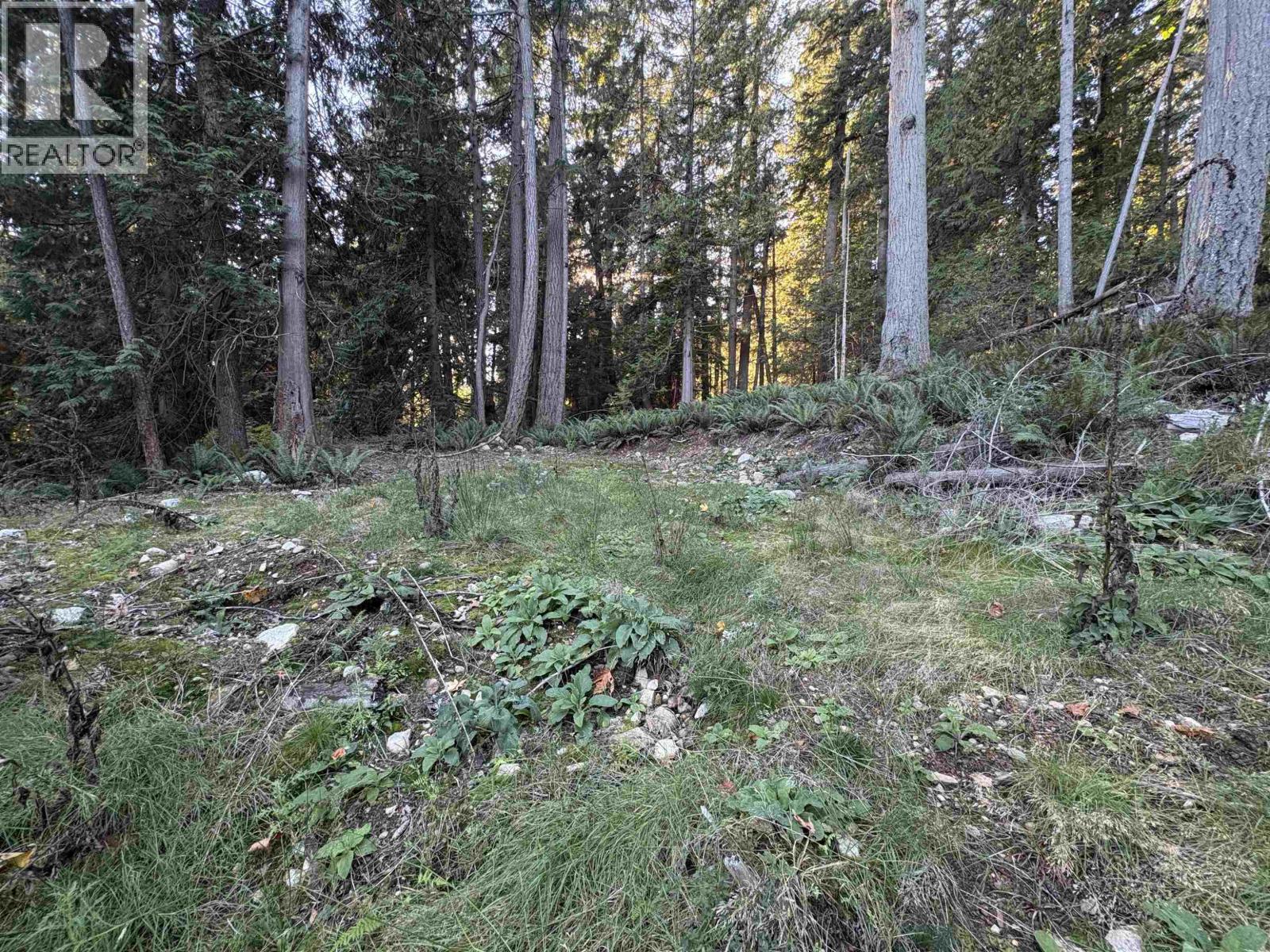 883 West Bay Road, Gambier Island, British Columbia  V0N 1V0 - Photo 10 - R3055011