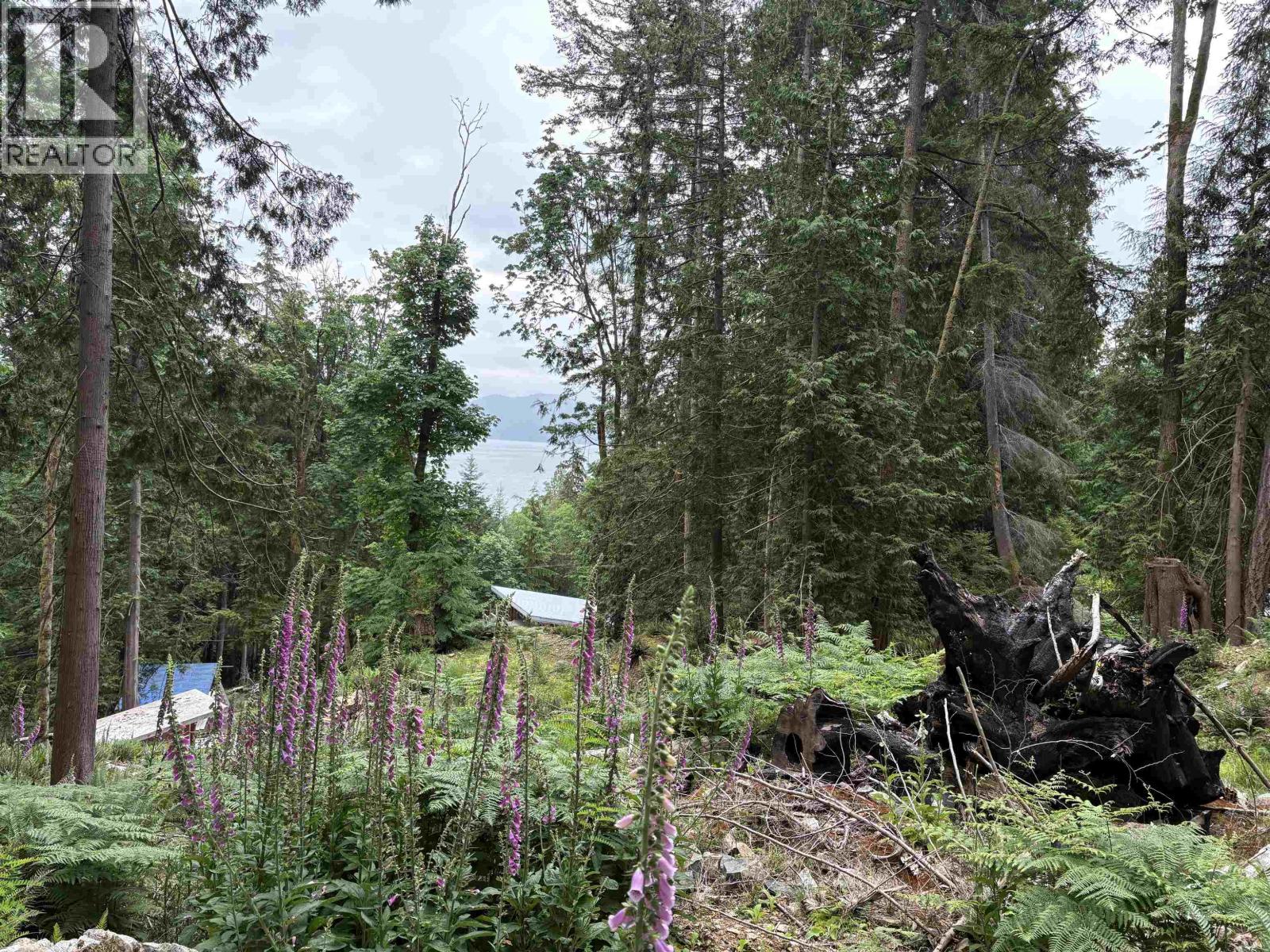 883 West Bay Road, Gambier Island, British Columbia  V0N 1V0 - Photo 6 - R3055011