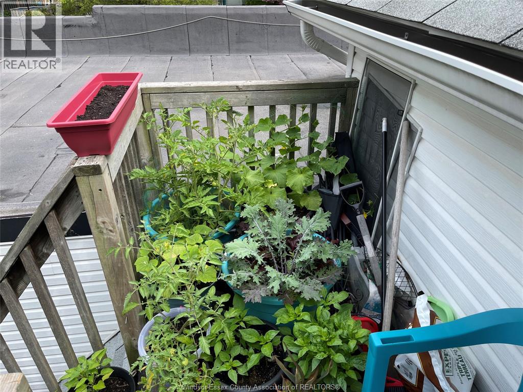 167 Murray, Amherstburg, Ontario N9V 1J4 - Photo 15 - 25028694