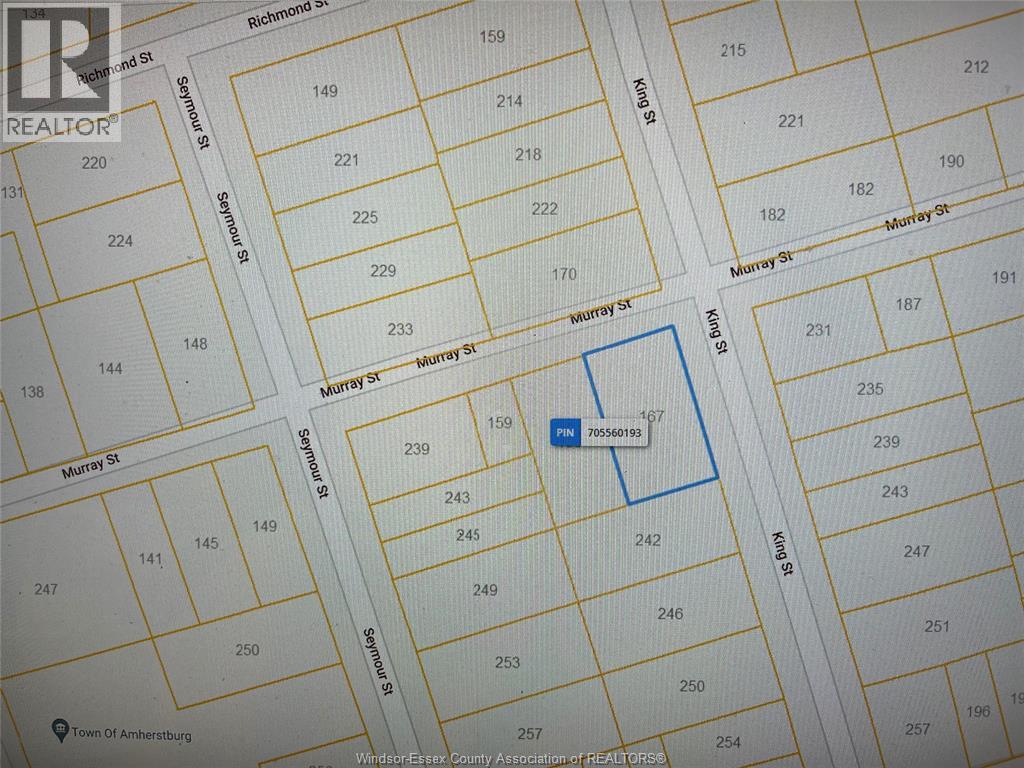 167 Murray, Amherstburg, Ontario N9V 1J4 - Photo 50 - 25028694
