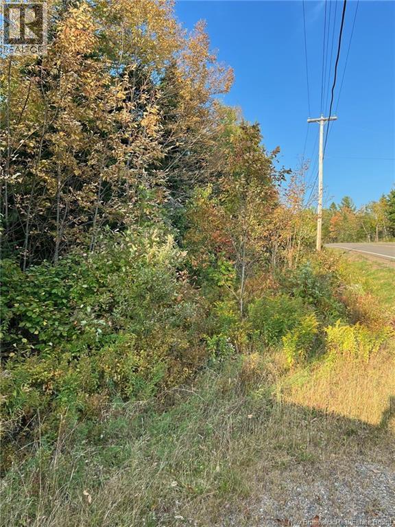 Lot 24-2 Rte 3, Harvey, New Brunswick  E6K 1T3 - Photo 3 - NB130075