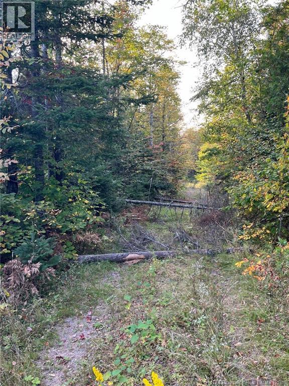 Lot 24-2 Rte 3, Harvey, New Brunswick  E6K 1T3 - Photo 4 - NB130075