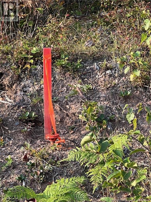 Lot 24-2 Rte 3, Harvey, New Brunswick  E6K 1T3 - Photo 5 - NB130075