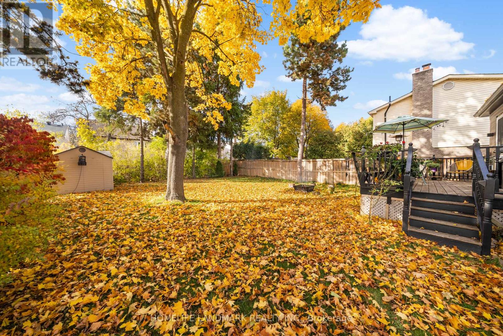 6 Drumern Crescent, Richmond Hill, Ontario  L4C 5H8 - Photo 35 - N12539826