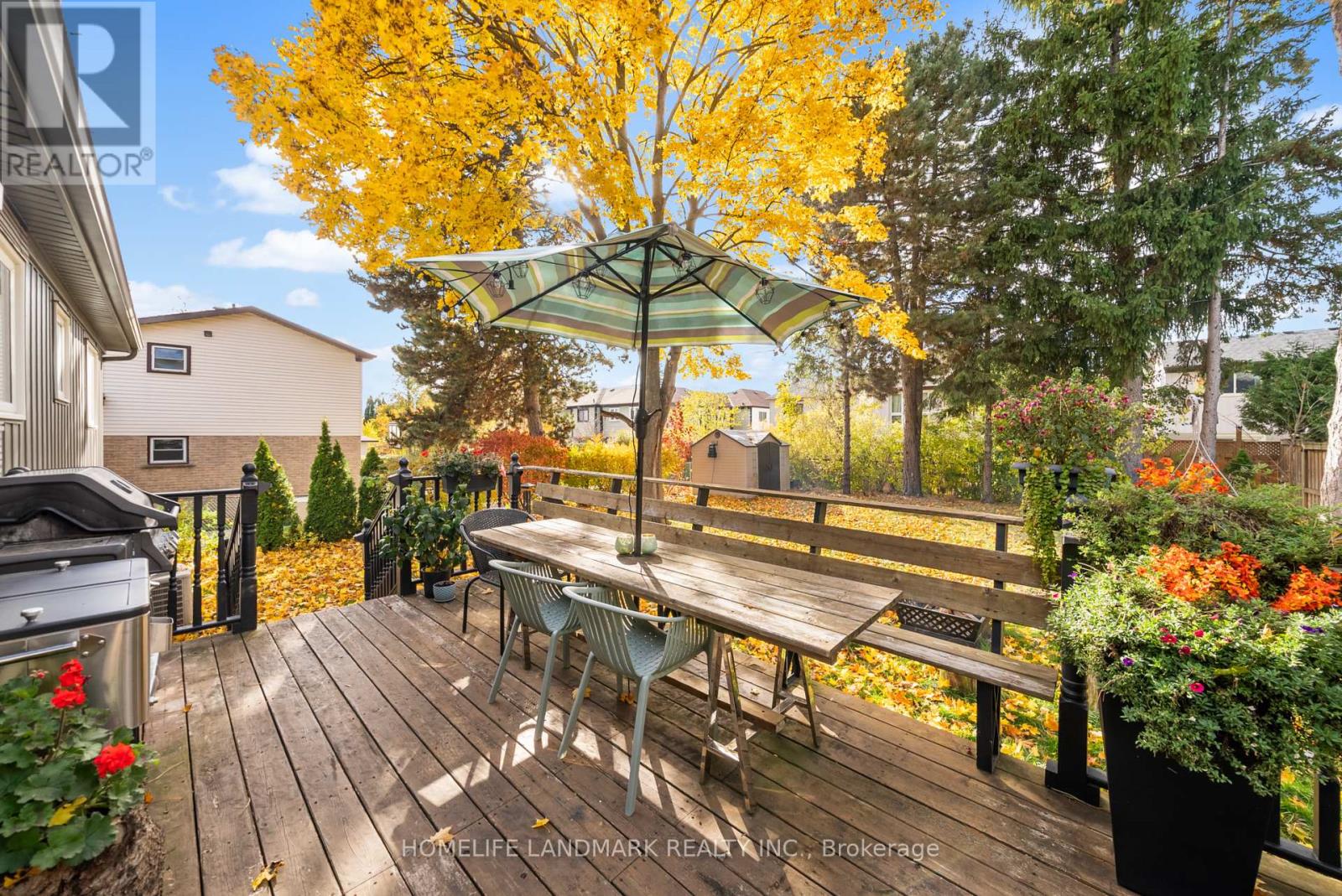 6 Drumern Crescent, Richmond Hill, Ontario  L4C 5H8 - Photo 40 - N12539826