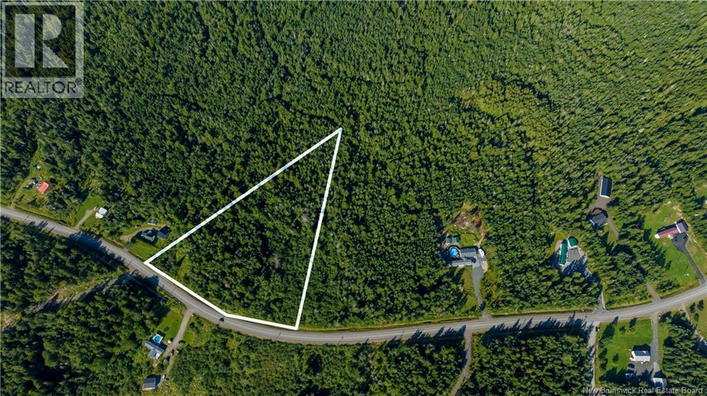 Lot 3 Route 172, Letang, New Brunswick  E5C 1W4 - Photo 9 - NB112809